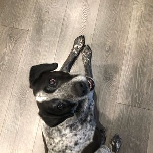 Meet your Posher, Meagan